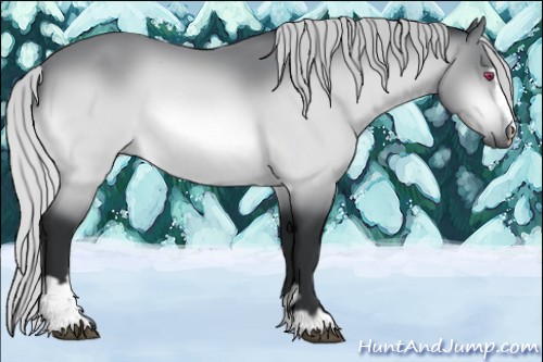 Horse Color:Silver Brown Chinchilla Sabino 