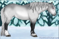 Horse Color:Silver Brown Chinchilla Sabino 