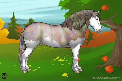 Horse Color:Nacre Liver Red Dun Splash Rabicano 