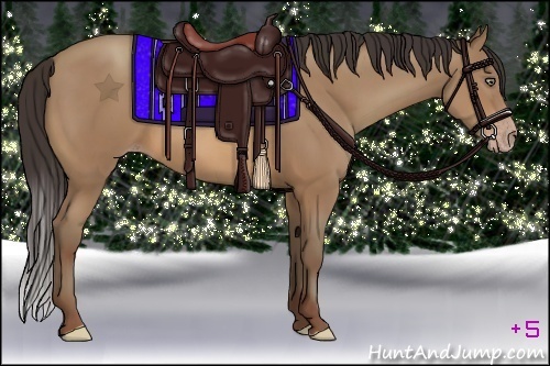 Horse Color:Sable Champagne 