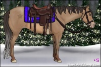 Horse Color:Sable Champagne 