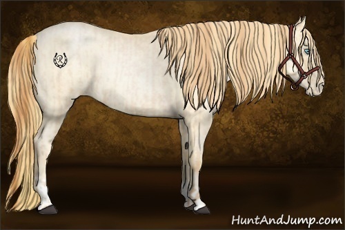 Horse Color:Buckskin Roan Pearl and Buckskin Roan Pearl