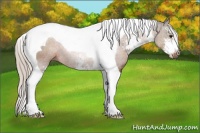 Horse Color:Silver Brown Sabino Tobiano Rabicano