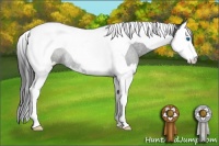 Horse Color:Black Sabino Splash Tobiano Rabicano