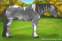Horse Color:Smoky Black Ice Tobiano Varnish Rabicano 
