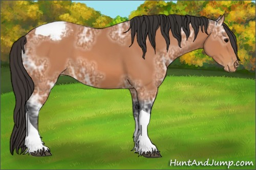 Horse Color:Bay Ice Tobiano Varnish Rabicano