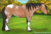 Horse Color:Bay Ice Tobiano Varnish Rabicano
