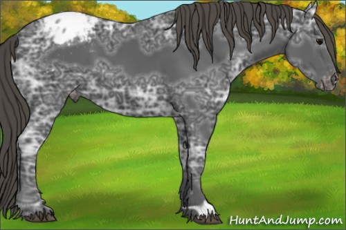 Horse Color:Smoky Black Ice Appaloosa