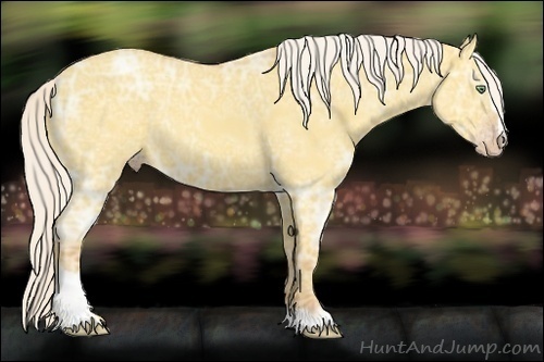 Horse Color:Silver Sable Cream Champagne Ice Dun Sabino