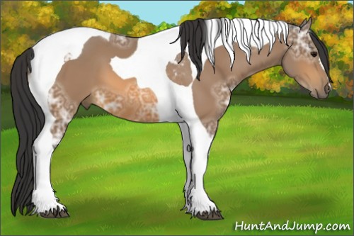 Horse Color:Buckskin Ice Tobiano 