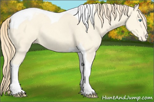 Horse Color:Perlino Tobiano Appaloosa 