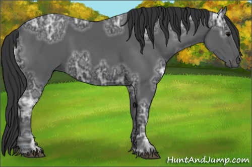 Horse Color:Black Ice 