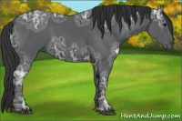 Horse Color:Black Ice 