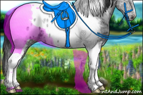 Horse Color:Black Ice Tobiano Appaloosa 