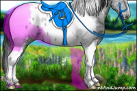 Horse Color:Black Ice Tobiano Appaloosa 