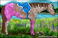 Horse Color:White Spotted Chestnut Ice 