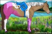 Horse Color:Classic Champagne Tobiano 