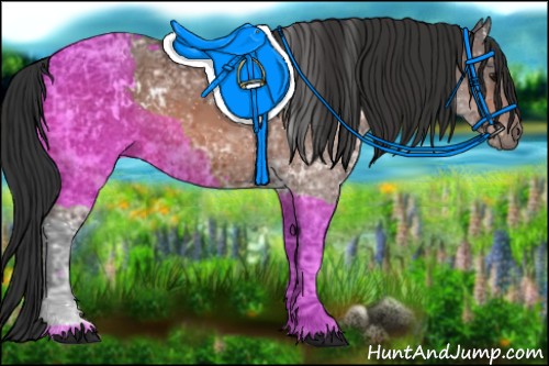 Horse Color:White Spotted Bay Ice and Bay Ice