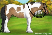 Horse Color:Brown Dun Tobiano Rabicano 