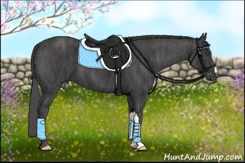 Horse Color:Black  Brindle