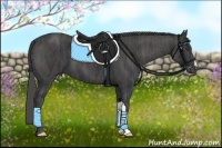 Horse Color:Black Brindle