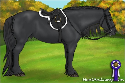 Horse Color:Black Sabino 