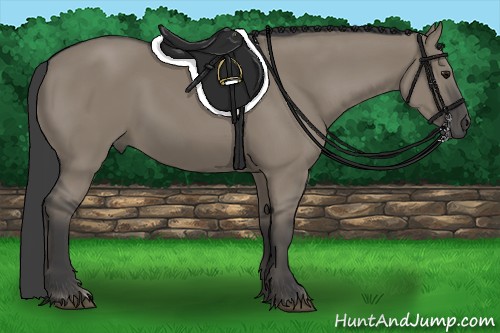 Horse Color:Smoky Grullo 