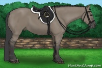 Horse Color:Smoky Grullo 