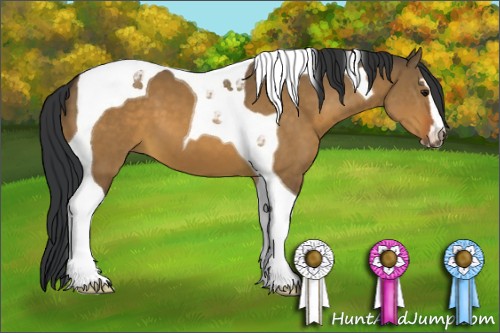 Horse Color:Brown Dun Sabino Tobiano