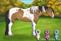 Horse Color:Brown Dun Sabino Tobiano