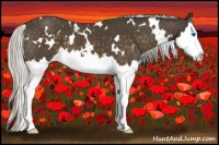 Horse Color:White Spotted Silver Brown Splash 