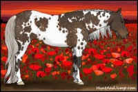 Horse Color:White Spotted Silver Brown