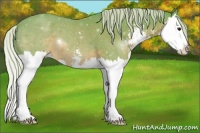 Horse Color:Watercolor Silver Black Sabino Splash