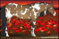 Horse Color:White Spotted Brown Dun Sabino 