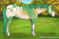 Horse Color:Watercolor Liver Red Onyx Appaloosa 