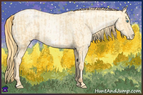Horse Color:Buckskin Roan Pearl  and Buckskin Roan Pearl Frame 