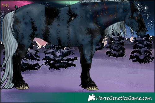 Horse Color:ERROR: UNKNOWN ANOMALY