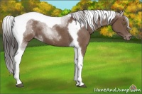 Horse Color:Bay Tobiano Varnish 