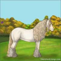 Horse Color:Buckskin Roan Pearl and Buckskin Roan Pearl