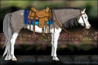 Horse Color:Grullo Splash Snowflake Varnish 
