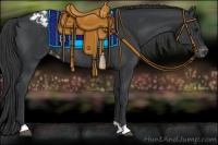 Horse Color:Black Appaloosa Rabicano 