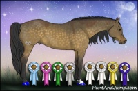 Horse Color:Buckskin Dun