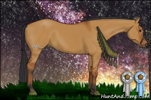 Horse Color:Brown Dun Sabino 