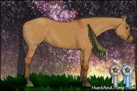 Horse Color:Brown Dun Sabino 