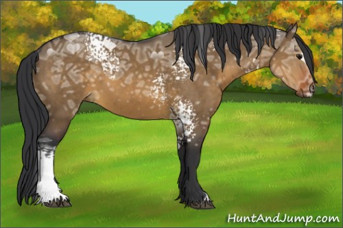 Horse Color:White Spotted Brown Ice Dun