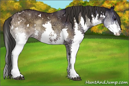 Horse Color:White Spotted Brown Ice Onyx Splash