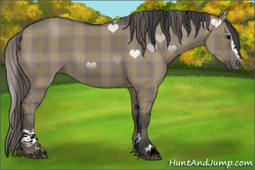 Horse Color:Plaid  Grullo Sabino 