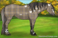 Horse Color:Plaid Grullo Sabino