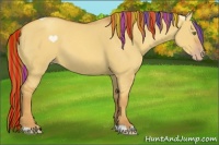 Horse Color:Painted Gold Champagne Dun