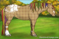 Horse Color:Painted Plaid  Red Dun Blanket 